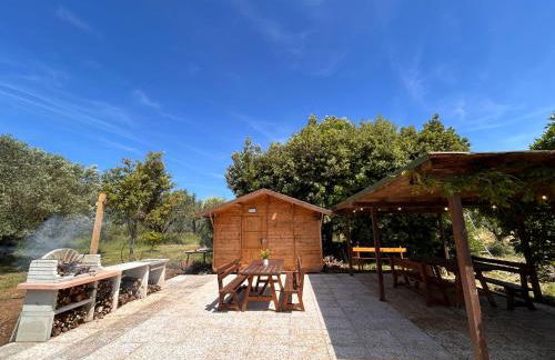 Casa RiVa - Among olive trees and the Tuscan coast - Foto 20