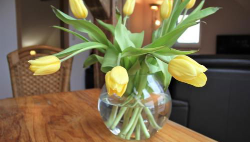 Schwalbennest - Foto 5