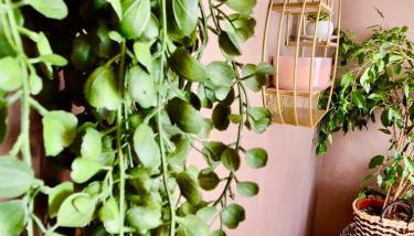 Le cocon du Mont Saint Michel - Foto 5