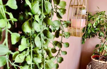 Le cocon du Mont Saint Michel - Foto 5