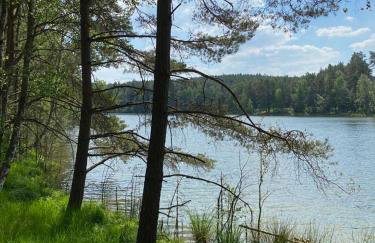 Carpinus II domek nad jeziorem - Foto 5