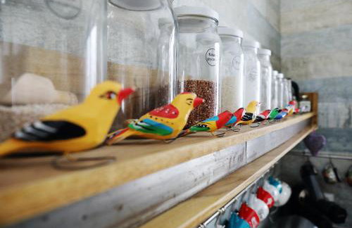 Babie Zacisze - Foto 23