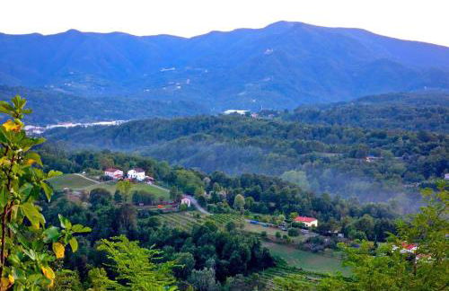 Forni Rosaia - Foto 31