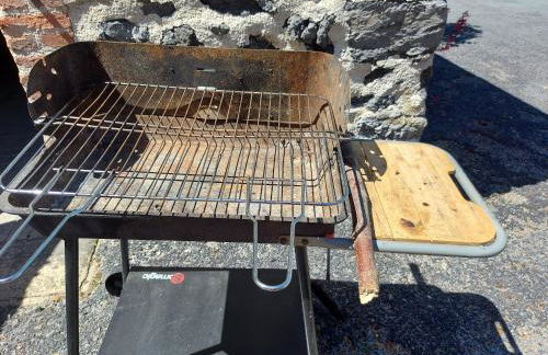 La Boutruchère - Photo 19