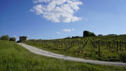 Agriturismo Il Casolare di Bucciano - Foto 3