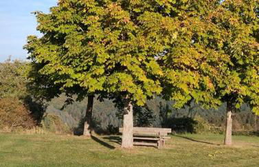 Ferienwohnung Zur Schönen Aussicht - Foto 16