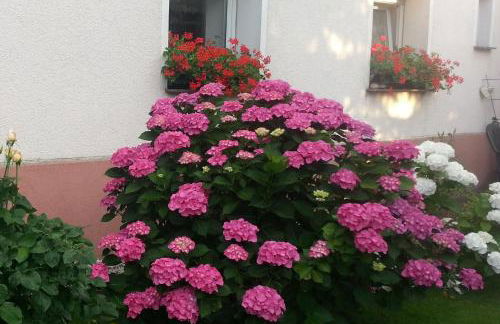 Apartment Dietze - Foto 34