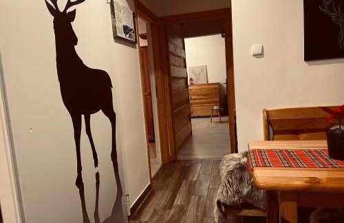 Cerla Korbielów - Foto 48