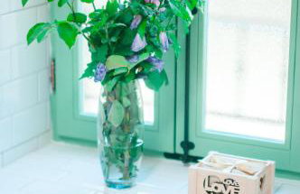 Casa Contessa - Foto 22