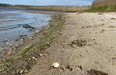 Urlaub "Unterm Storchennest" im Ostseeland Rerik - Foto 23