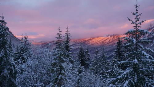 Hot Tub Cool Views: Roaring Creek Cabin - Foto 3