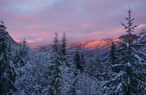 Hot Tub Cool Views: Roaring Creek Cabin - Foto 3