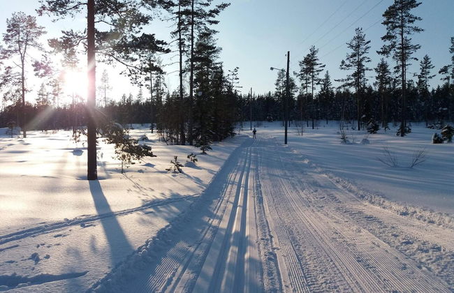 4 Star Holiday Home in Soderala-by Traum - Photo 12