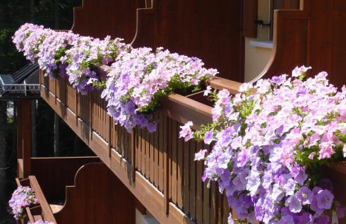 Residence Panorama - Foto 18