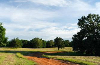 Willie's Cabin Yellow Rose Canyon - Foto 11