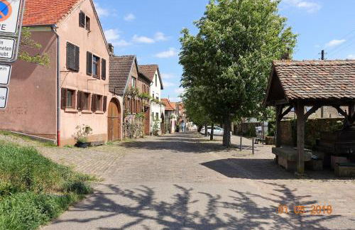 Phönix aus der Asche - Foto 27