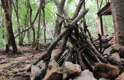 Cenote Yokdzonot Ticket - Foto 6