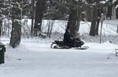 Rustic Willow Retreat - Outdoor Adventures cabin - Foto 35