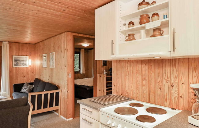 Spacious Holiday Home In Struer near Ocean - Foto 5