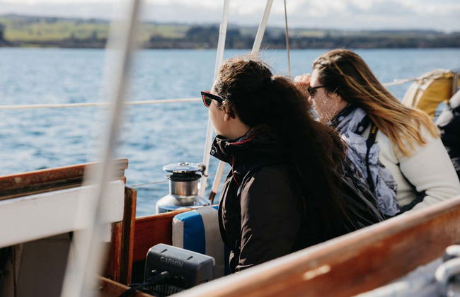 Māori Rock Carvings Sailing Tour - Photo 6