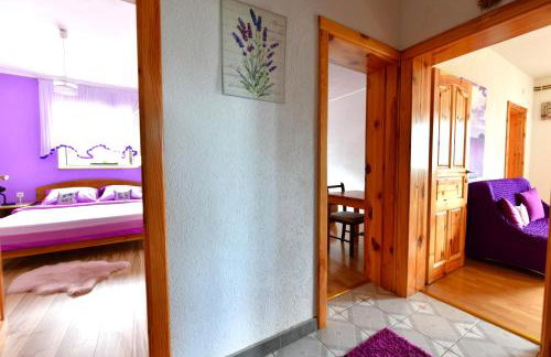 Lavanda farm apartmani - Foto 51