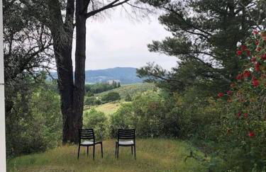 Modern Wine Country Home on 10 acres with vineyard - Foto 19