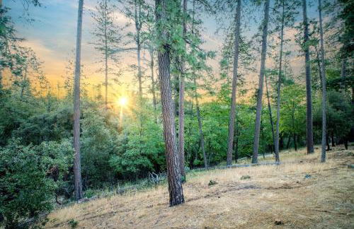 Cozy foothills home - Photo 60