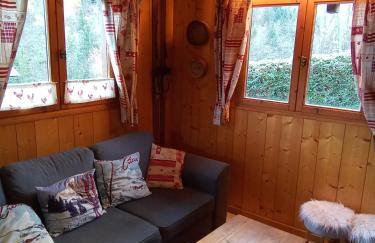 Chalet Indépendant " L'anfian-ne" - Foto 1