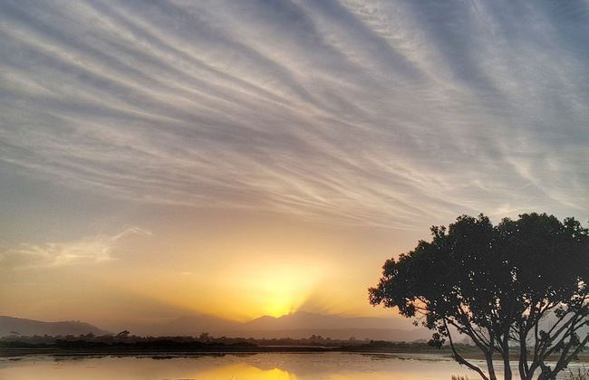 Beach you to it - Sedgefield - Foto 19