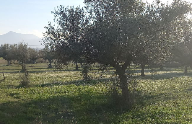 Beautiful 1-bed Cottage in Megalopolis - Foto 12