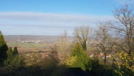 Le Coq De Champagne - Photo 2