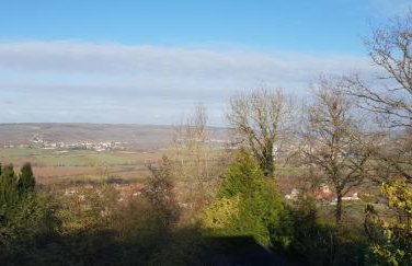 Le Coq De Champagne - Photo 2