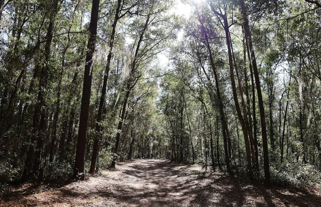 Dunnellon Dreams 3 Bedroom Home by RedAwning - Foto 28