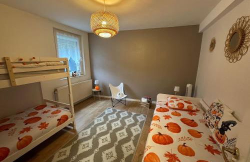 Le cocon de Marckolsheim proche Europapark - Foto 3