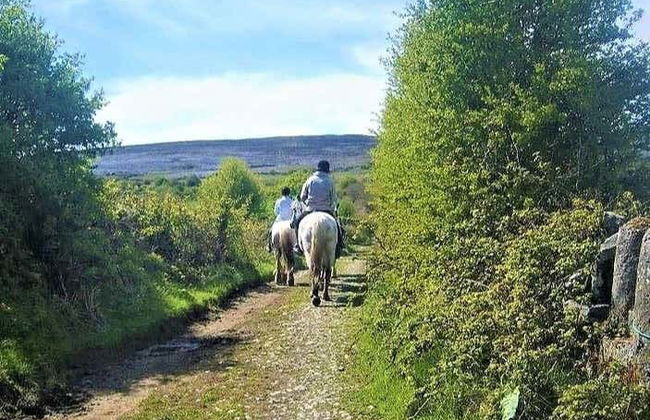 Balade à cheval à Lisdoonvarna - Photo 4