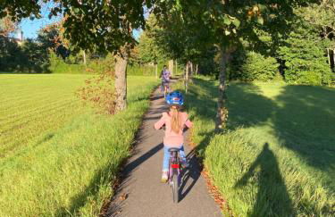 FeWo Wagner - Foto 57