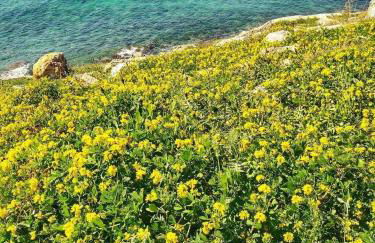 Home Salento 1 - Foto 39