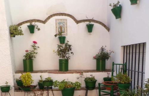 Casa Rural Camino de los molinos y su establo - Photo 28