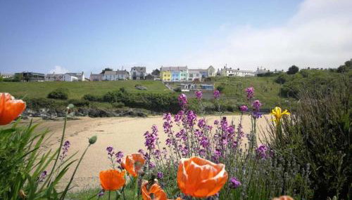 Glanmordy 2 - Blue - Foto 3