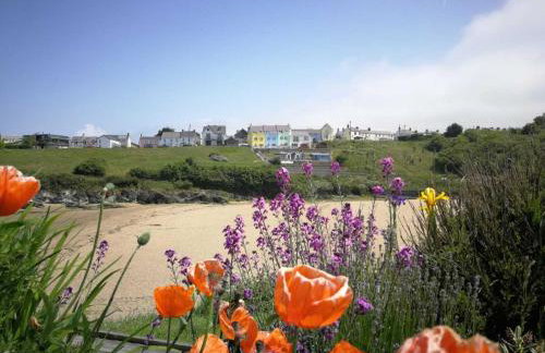 Glanmordy 2 - Blue - Foto 3