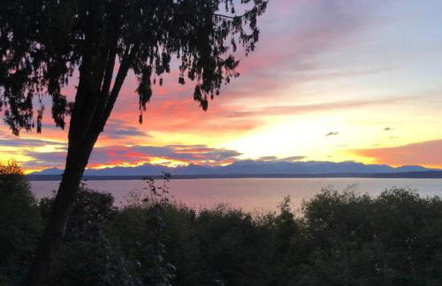 Romantic Spacious Suite with Salish Sea & Mountain Views at Seattle Luxury Estate - Foto 61