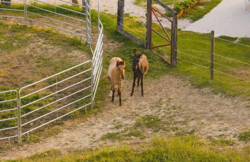 Casa Ambrogi Stefano - Photo 59