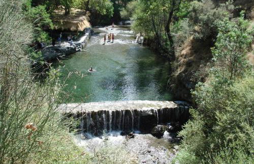 Encinar de Aguas Blancas - Foto 35