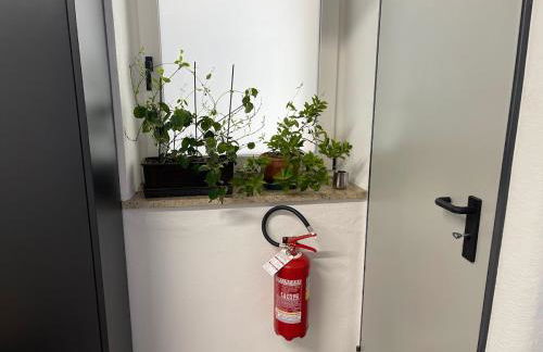 Appartamento Pineta casa vacanze Sci & Natura - Foto 38