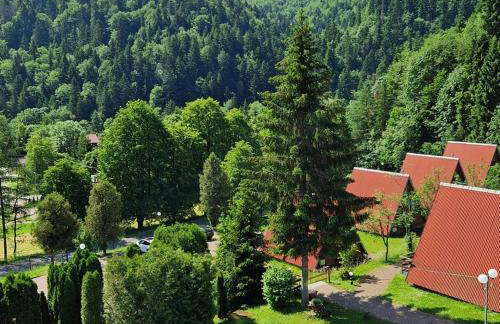 Perełka Bieszczady Domki - Photo 62