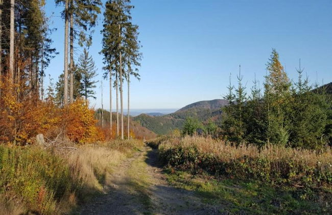 Kurzurlaub in Bockswiese, Hahnenklee - Foto 26