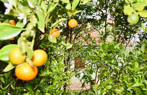 Casa Villa Mey - Foto 48