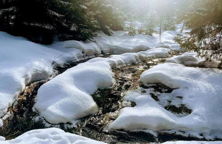 Winterwohnung Almberg - Foto 20