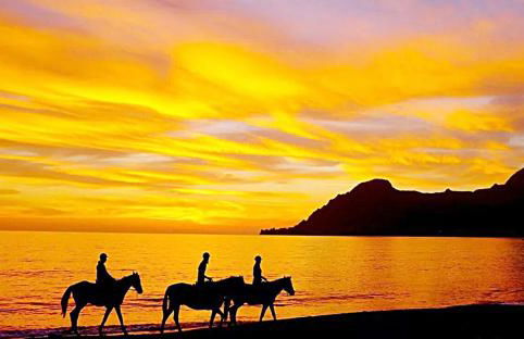 Villa Horizon - Photo 31