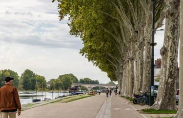 Élégant appartement haussmannien en hypercentre - Foto 5